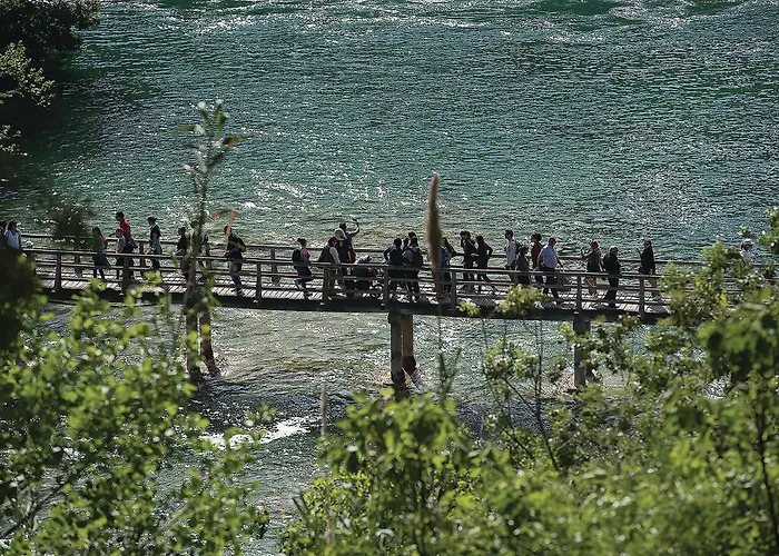 1 Bedroom Amazing In 公寓